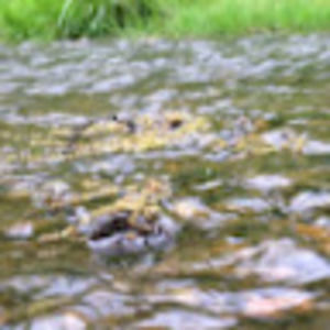 Meet your Posher, Adam